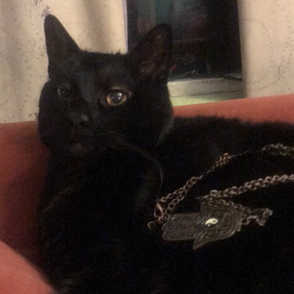 Necklace - Picture 3 of 7
